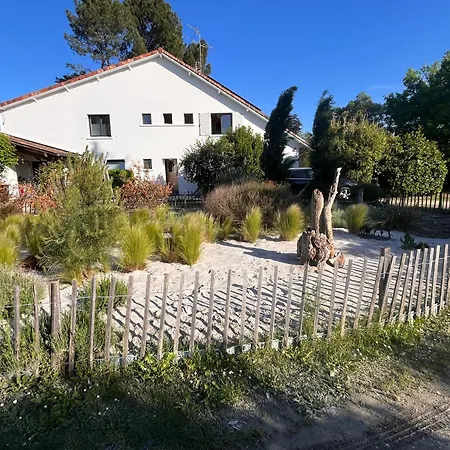 D'elisa Bed & Breakfast