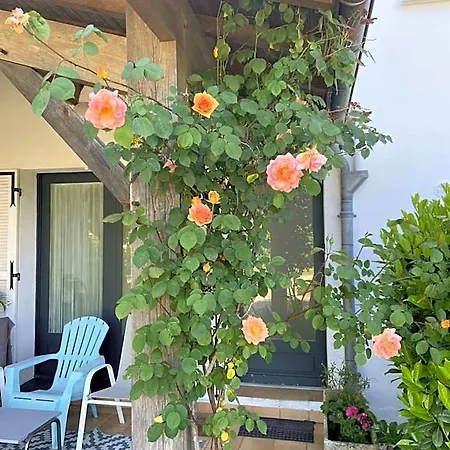 D'elisa Bed & Breakfast Saint-Morillon